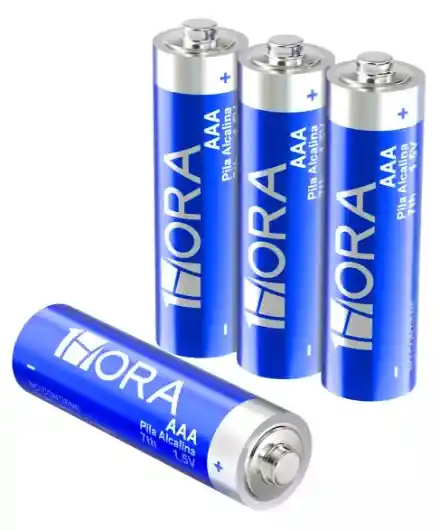 Paquete De 4 Pilas Con Estuches Baterias Alcalinas Aaa 1hora