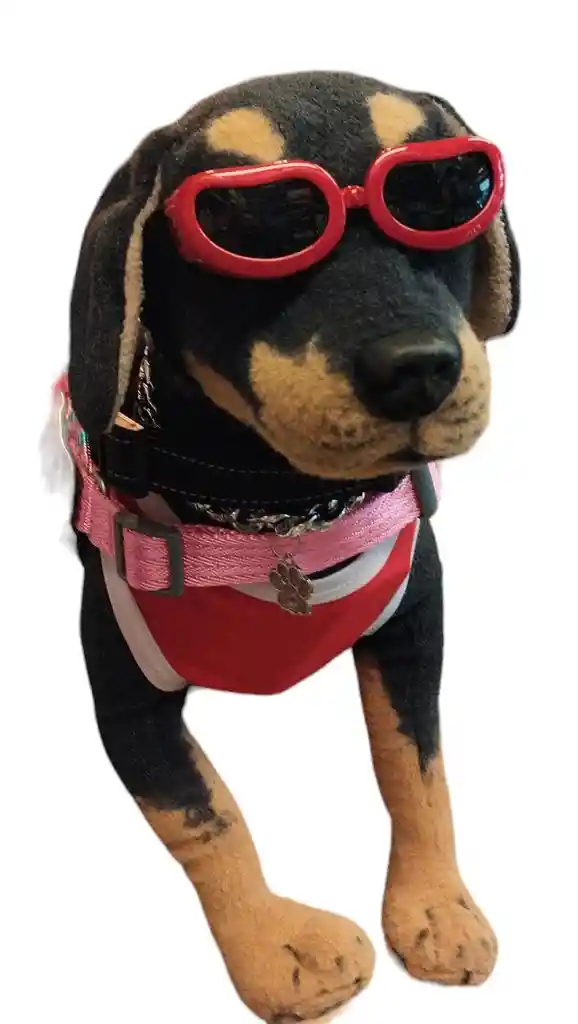 Wonder Dog - Lentes De Sol Para Perros