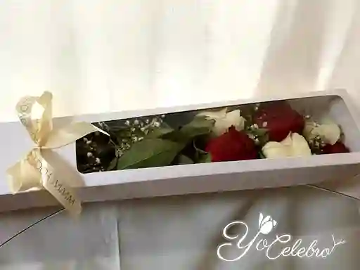 Caja De 6 Rosas, Blancas Y Rojas