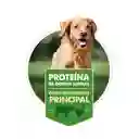 Nomade Alimento Perro Adulto Raza Pequeña 10kg