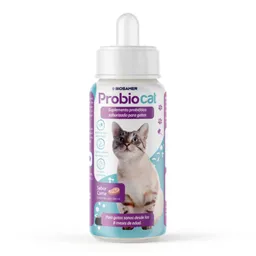 Probiocat 100 Ml