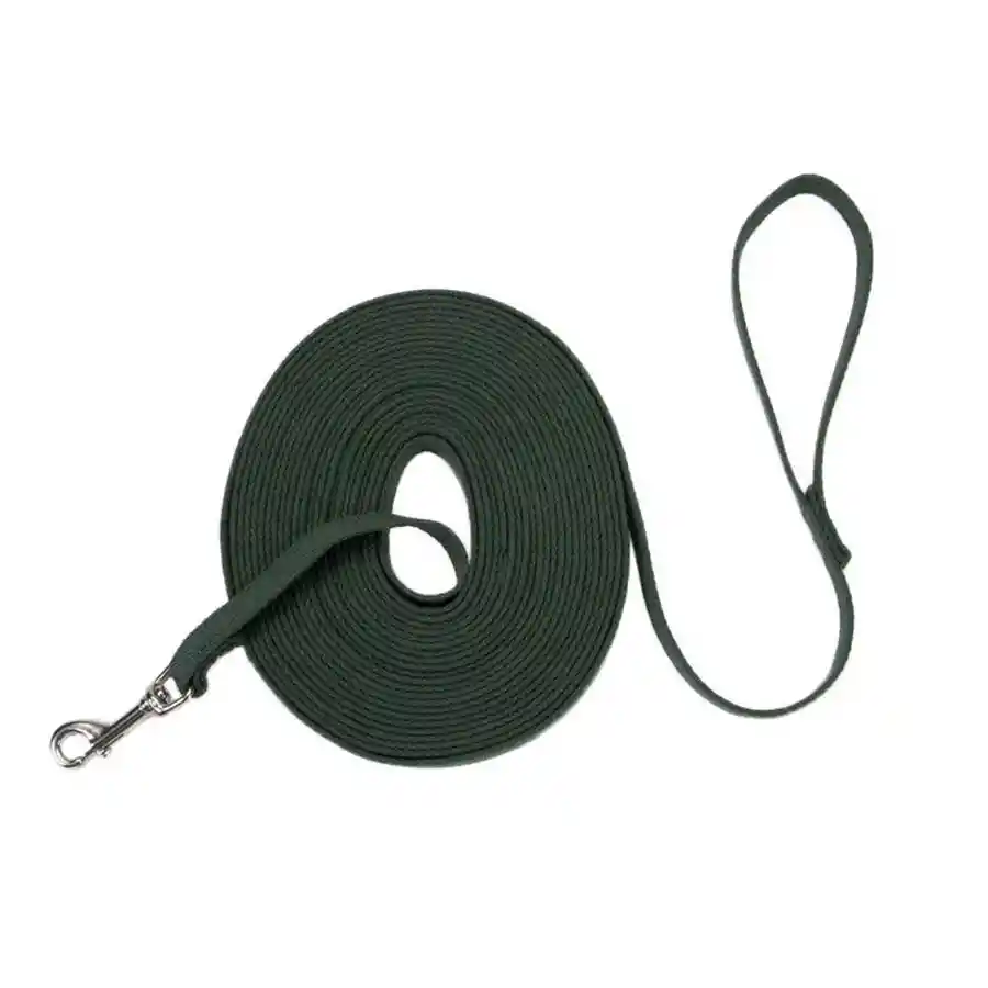 Correa Cotton Web Dog Training, Green 5/8 X 30