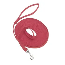 Correa Cotton Web Dog Training, Red 5/8 X 30