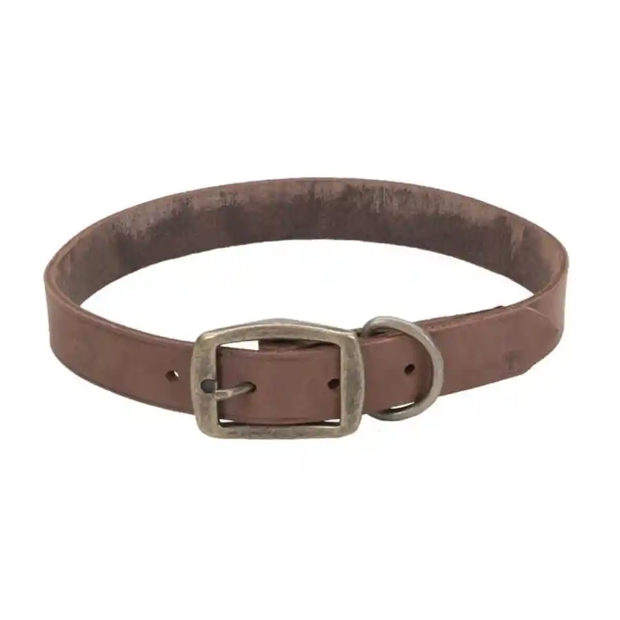 Rustic Leather Town Dog Collar, Chocolate 1" X 20"