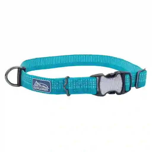 Collar Brights Reflective Adjustable Dog, Ocean Talla L