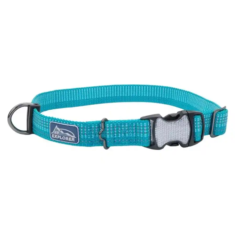 Collar Brights Reflective Adjustable Dog, Ocean Talla S