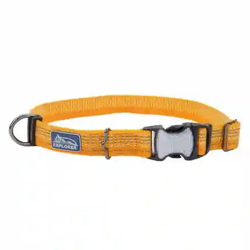 Collar Brights Reflective Adjustable Dog, Desert Talla L