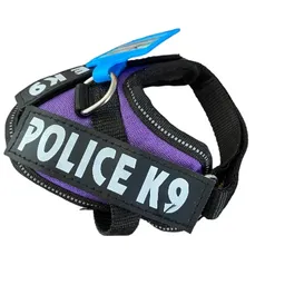 Arnes Police Xxs Color Morado