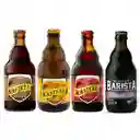 Pack Degustación Kasteel (belgian Ale) 4 Variedades