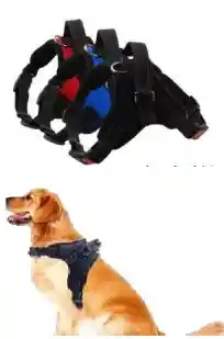 Wonder Dog - Arnes Con Mango S (45-55 Torax)