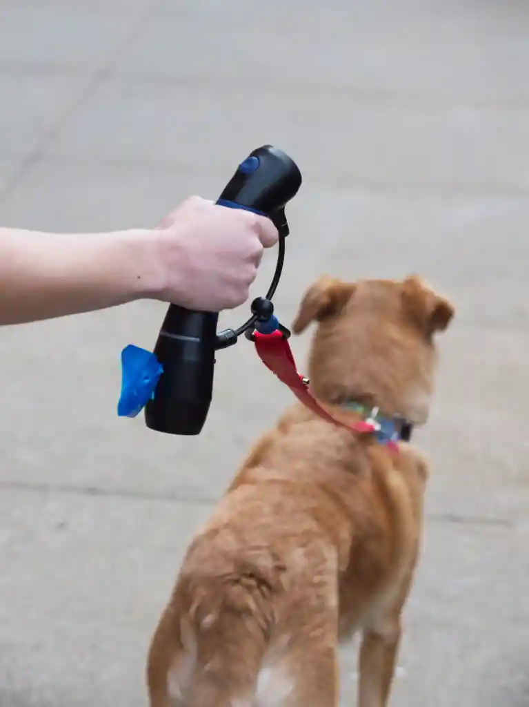 Gismo Kit Básico Paseo Mascota Trailla Hot Pink (rosa Fuerte)