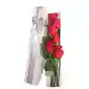 Caja Larga Con 6 Rosas