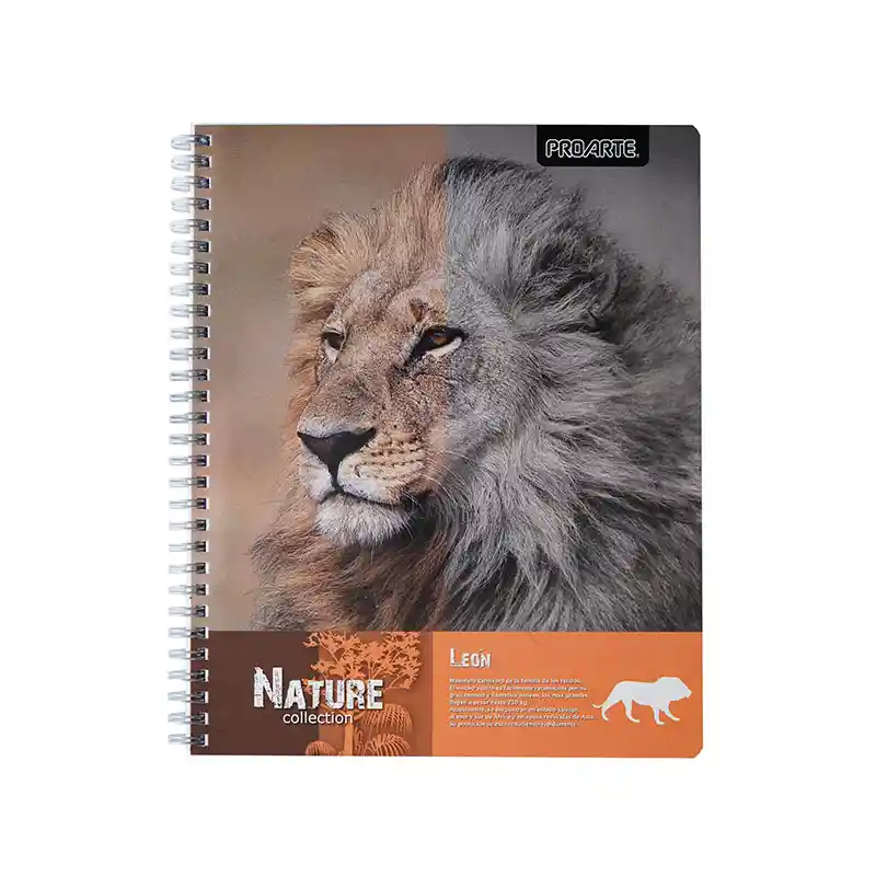 Pack 10 Cuadernos Universitario 100h 7mm Proarte Niñas