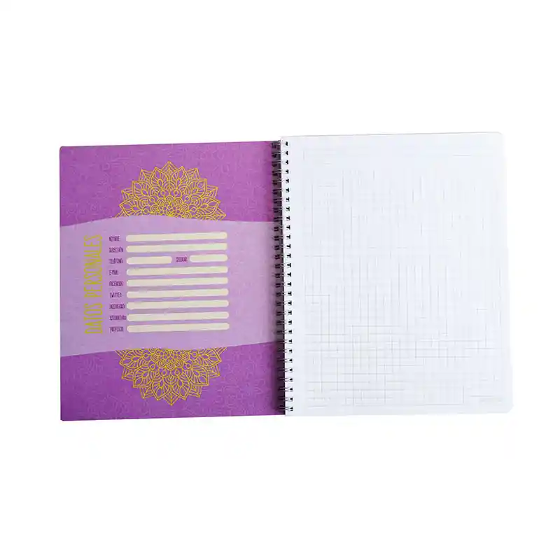 Pack 10 Cuadernos Universitario 100h 7mm Proarte Niñas