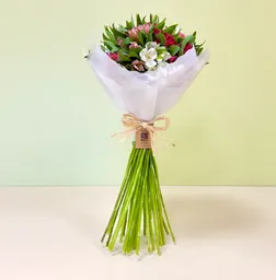 Ramo 30 Alstroemerias Rosadas