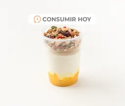 Yogurt Con Granola Y Mango 260 G