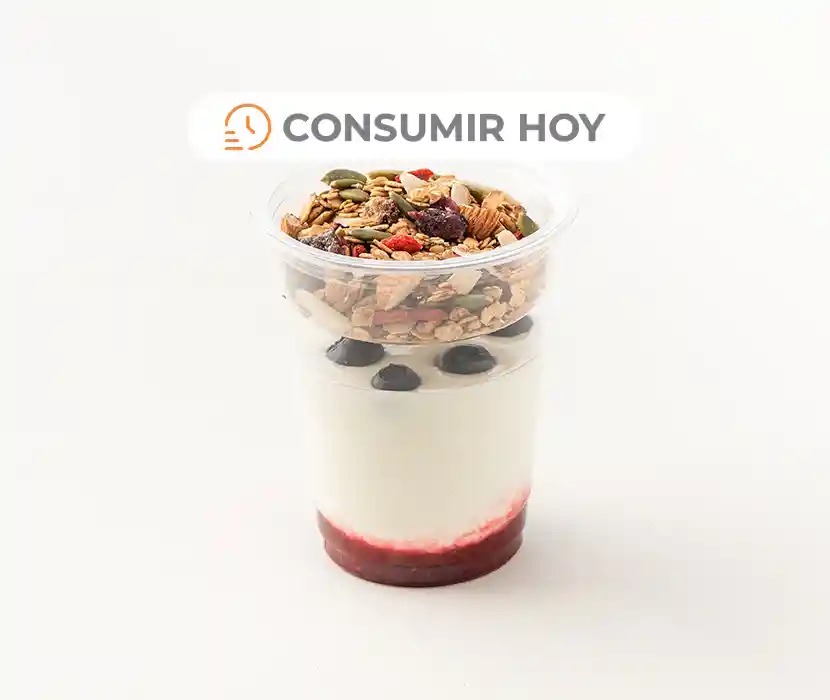 Yogurt Con Granola Y Berries 260 G