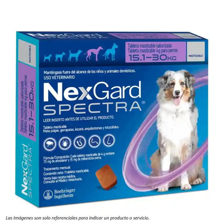 Nexgard Spectra 15.1 A 30kg - 1 Comprimido