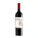 Vino Ulmus Gran Reserva Cabernet Sauvignon 750 Ml