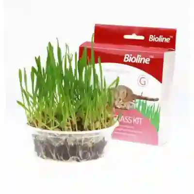 Bioline Cat Grass Kit 12gr
