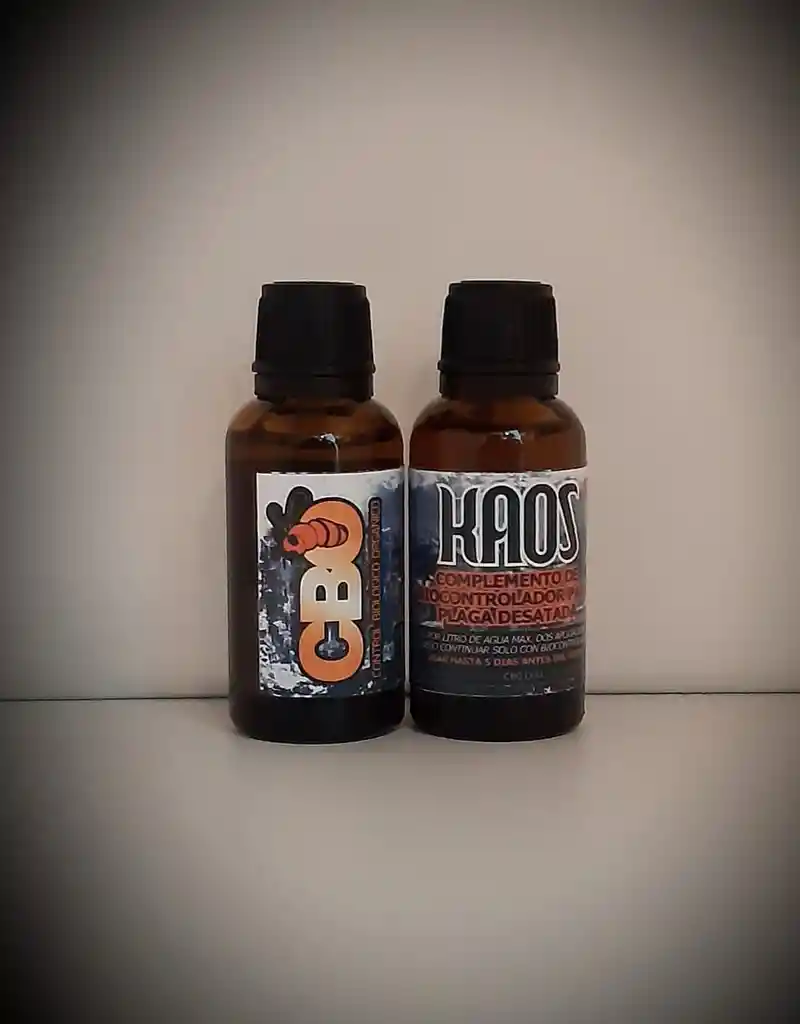 Kaos