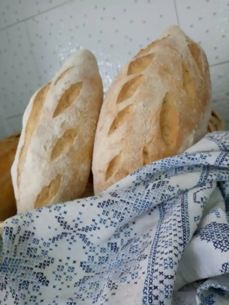 Batard De Masa Madre