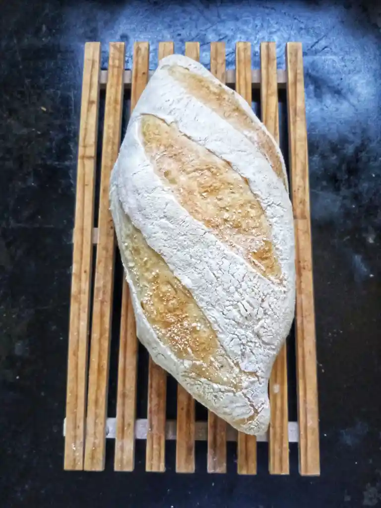 Batard De Masa Madre