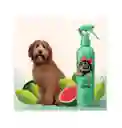 Spray Desenredante De Nudos 300ml Perro Pet Head Furtastic