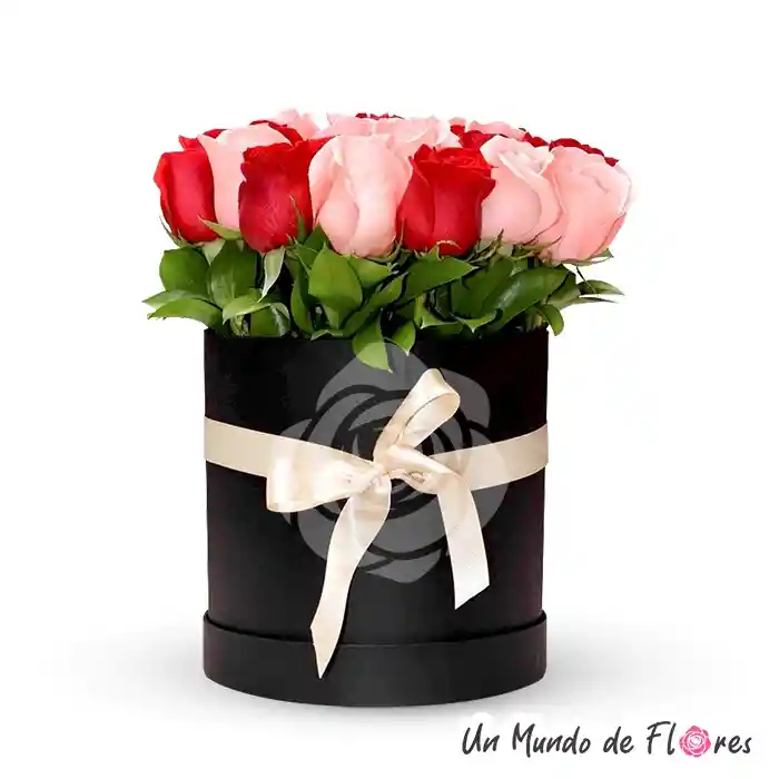 Tambor Con 12 Rosas