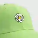 Gorra Bassik Gamuza Margarita