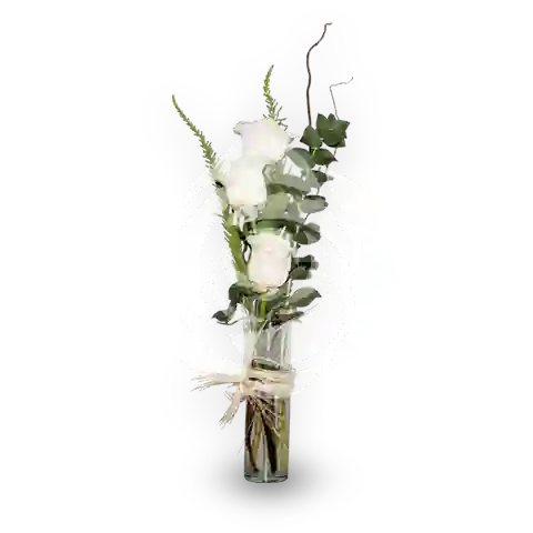 Espiral 3 Rosas
