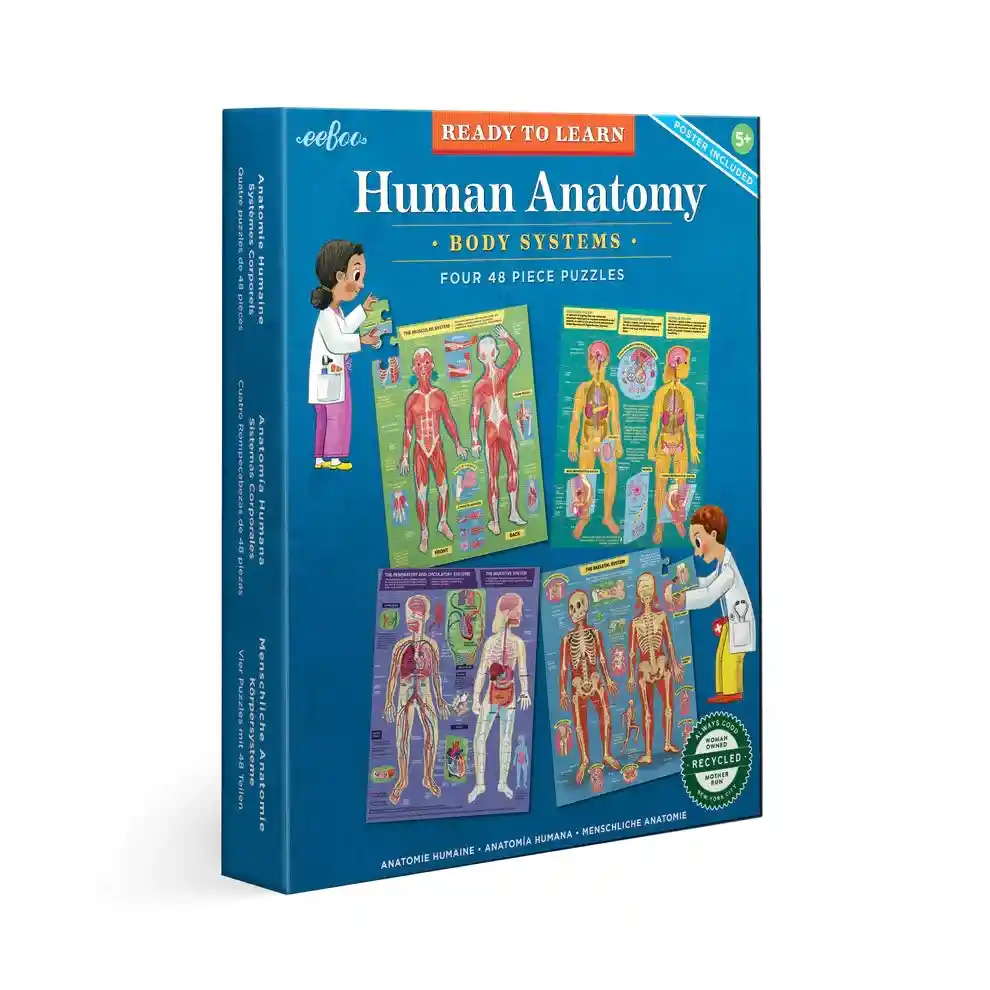 Set 4 Puzzles 48 Piezas - Anatomía Humana Eeboo 5 Años+