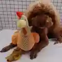 Juguete Peluche Para Mascota De Animales Con Cuerda (gallina)