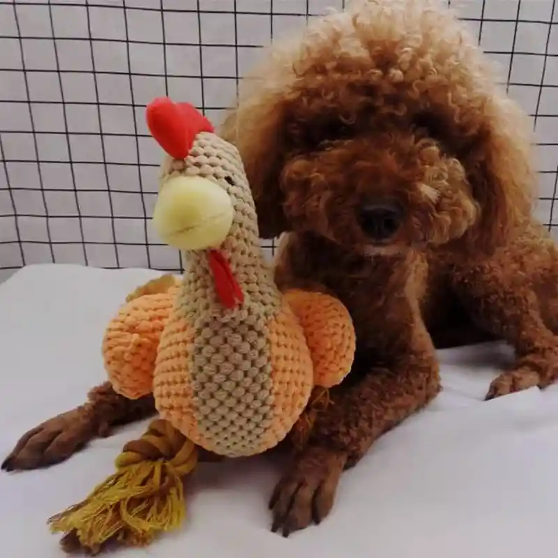 Juguete Peluche Para Mascota De Animales Con Cuerda (gallina)