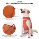 Body De Cobre Talla 2 Tradicional Para Perros Y Gatos Postoperatorio