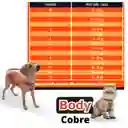 Body De Cobre Talla 2 Tradicional Para Perros Y Gatos Postoperatorio