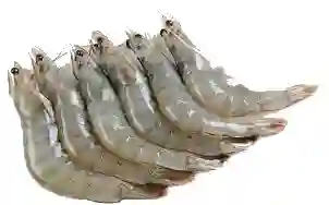 Camarones Enteros 1kg