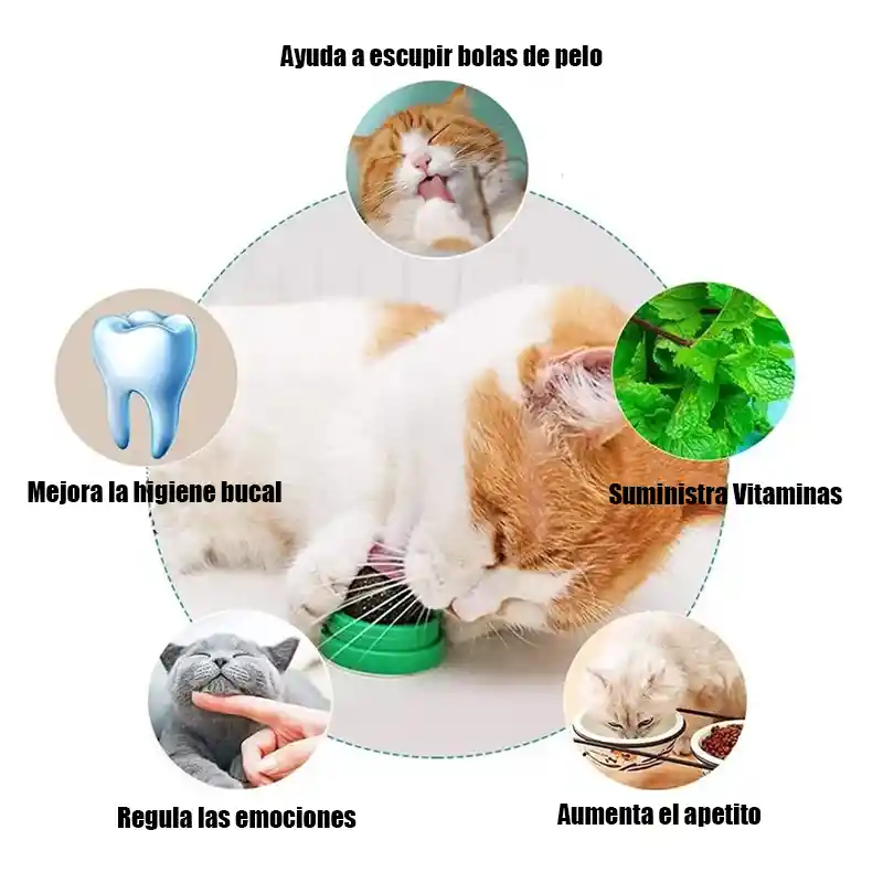 Bola Giratoria De Catnip Para Gatos (blanco)