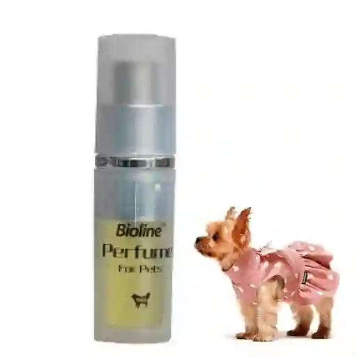 Perfume Colonia Para Mascotas Bioline 9ml (memoria De Oro)