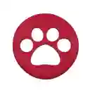 Disco Volador Frisbee Silicona Juguetes Para Perros Mascota (rojo)