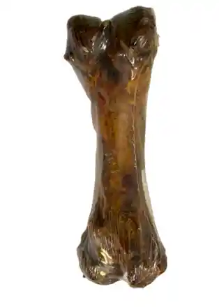 Femur De Cerdo