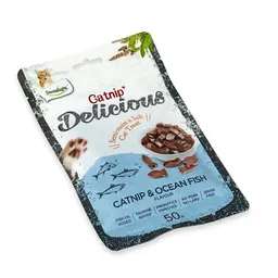 Dentalight - Delicious Snack De Gato Catnip And Ocean Fish 50g