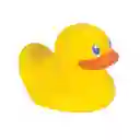 Termómetro De Patito Mas Jarra Flexible Infantil Baño