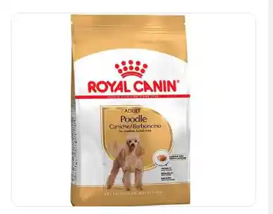 Royal Canin Caniche Poodle Adult 3kg
