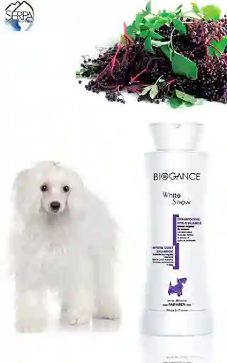 Biogance Shampoo Pelaje Blanco ( White Snow) 250 Ml