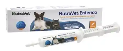 Nutravet Enterico - Probioticos, Prebioticos Y Adsorbentes Intestinales - Perros Y Gatos - Jeringa 15g