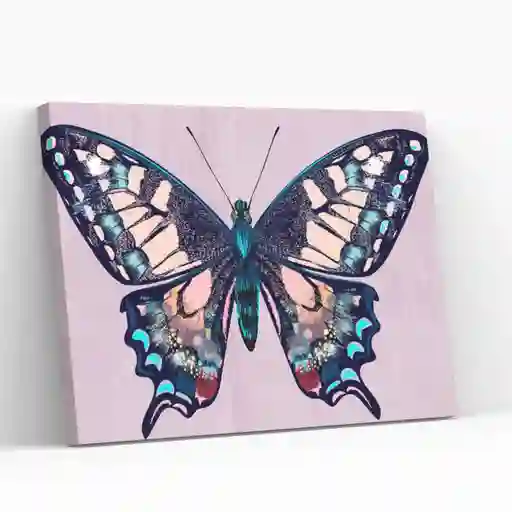 Pintura Por Números 25x35cm En Bastidor Mariposa - Painting By Number Papaya