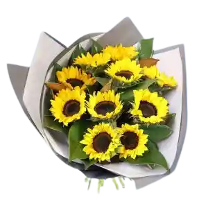 Bouquet De 12 Girasoles