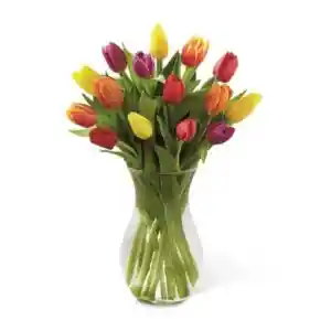 Floral De 30 Tulipanes Primaveral