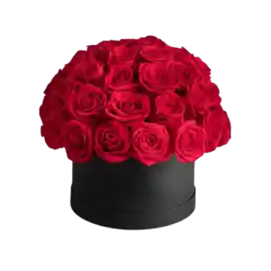 Box Cilindro De 30 Rosas